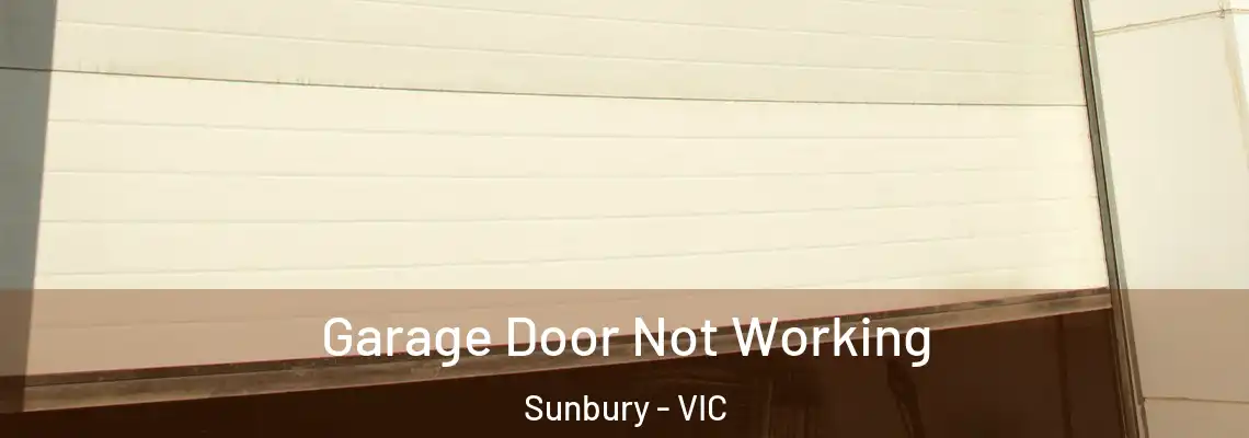  Garage Door Not Working Sunbury - VIC