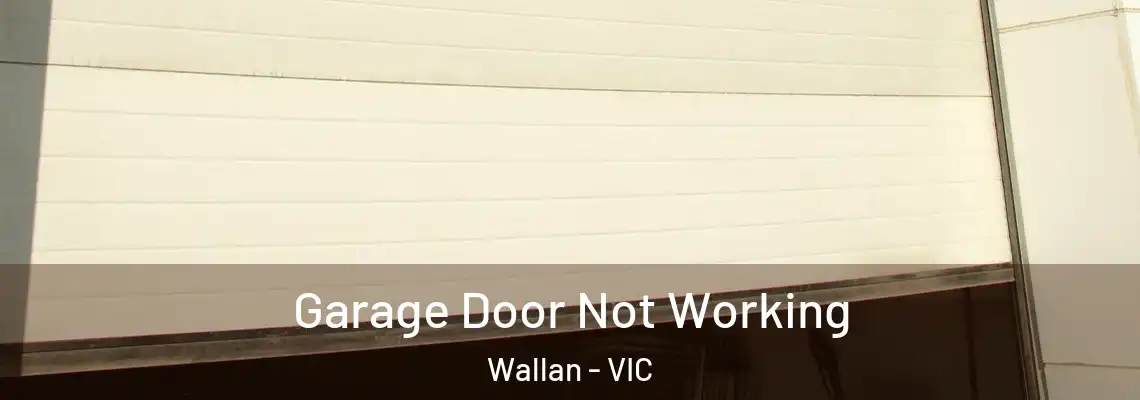  Garage Door Not Working Wallan - VIC