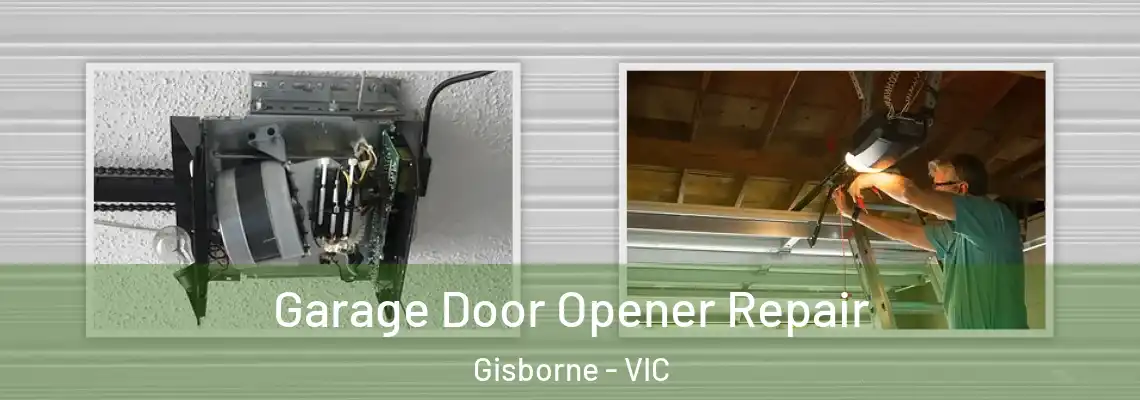 Garage Door Opener Repair Gisborne - VIC