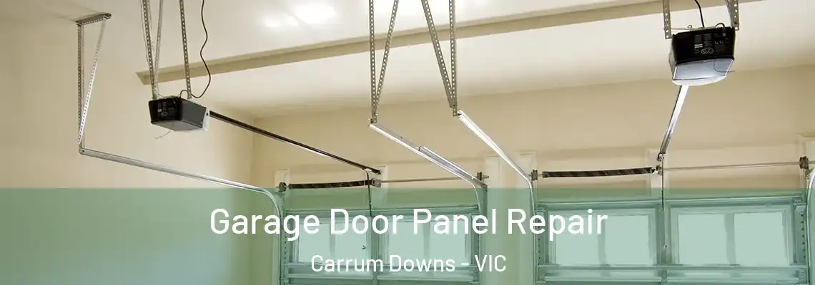 Garage Door Panel Repair Carrum Downs - VIC