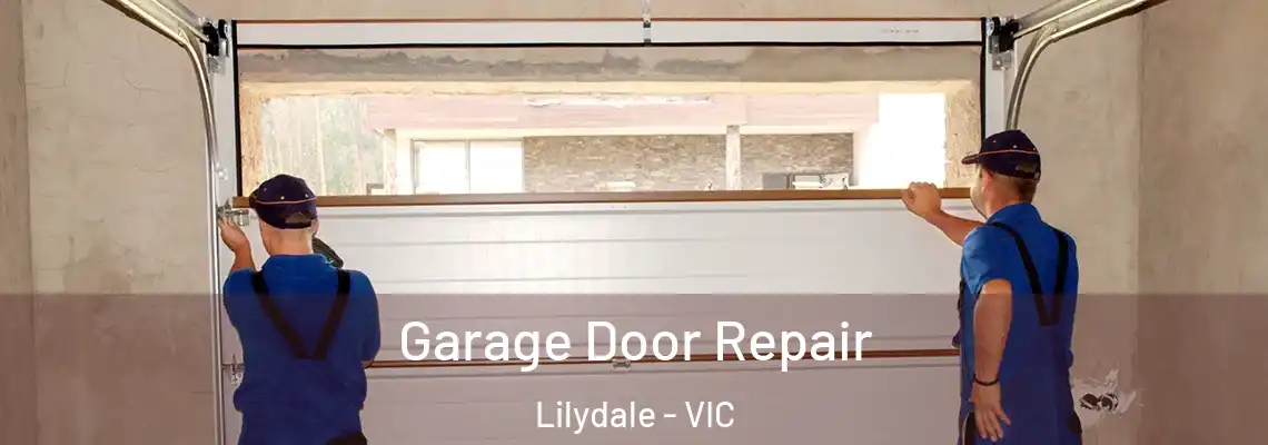  Garage Door Repair Lilydale - VIC