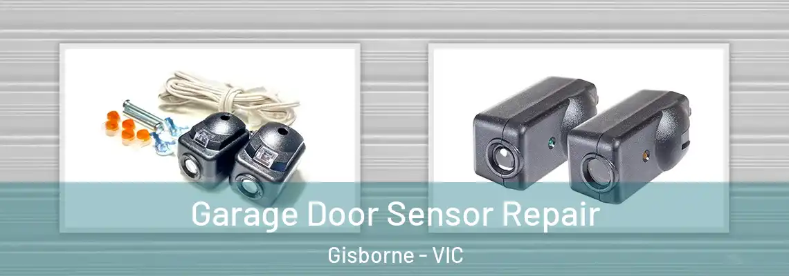 Garage Door Sensor Repair Gisborne - VIC