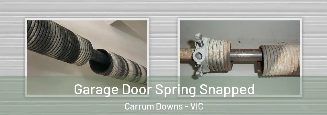Garage Door Spring Snapped Carrum Downs - VIC