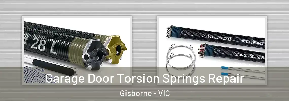 Garage Door Torsion Springs Repair Gisborne - VIC