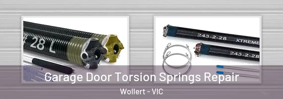 Garage Door Torsion Springs Repair Wollert - VIC