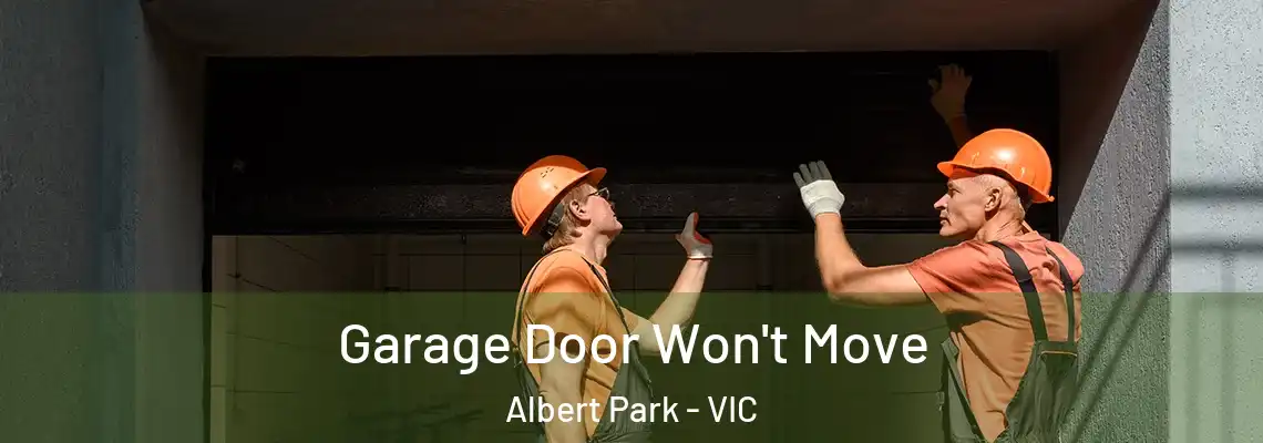 Garage Door Won't Move Albert Park - VIC