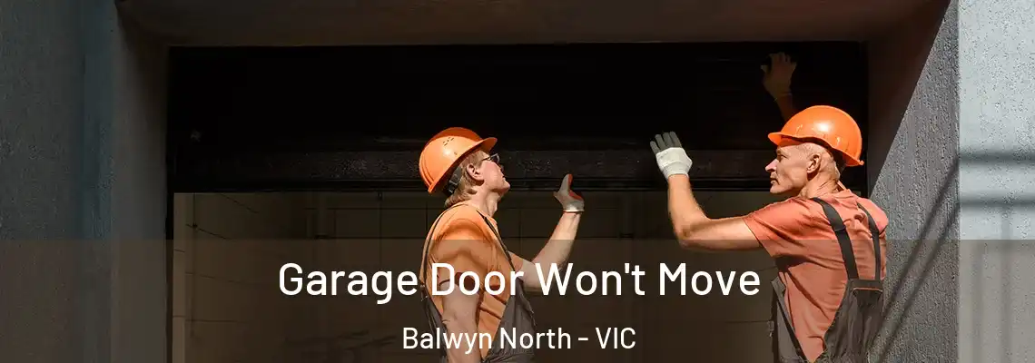  Garage Door Won't Move Balwyn North - VIC