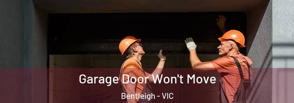  Garage Door Won't Move Bentleigh - VIC