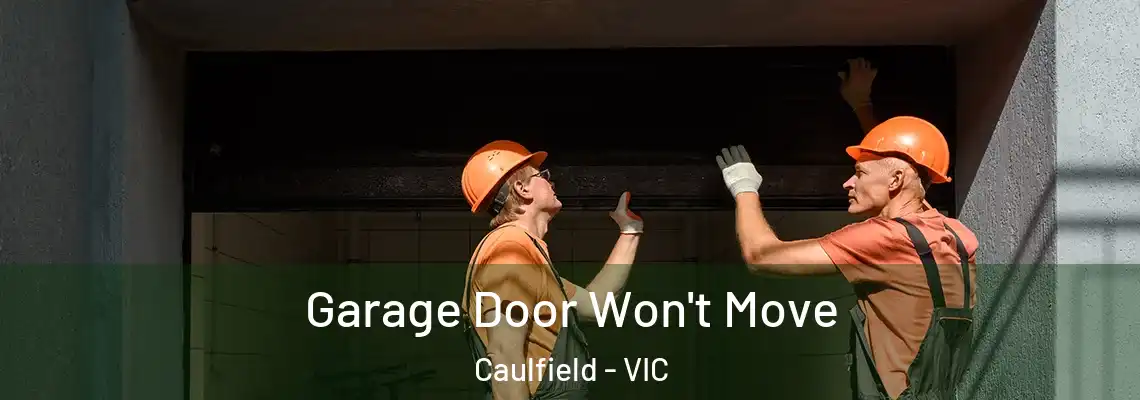  Garage Door Won't Move Caulfield - VIC