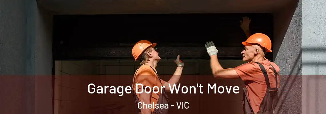  Garage Door Won't Move Chelsea - VIC