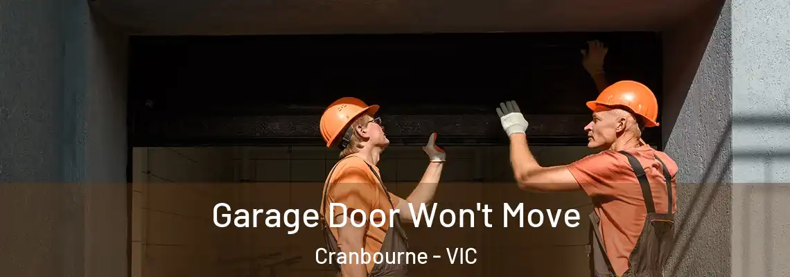 Garage Door Won't Move Cranbourne - VIC