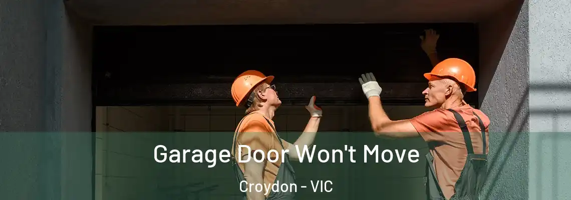 Garage Door Won't Move Croydon - VIC