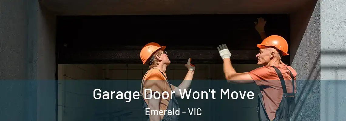 Garage Door Won't Move Emerald - VIC