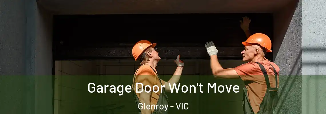 Garage Door Won't Move Glenroy - VIC