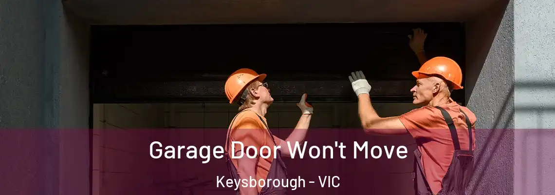 Garage Door Won't Move Keysborough - VIC
