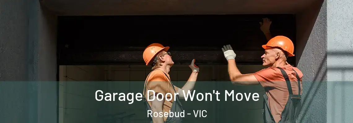  Garage Door Won't Move Rosebud - VIC