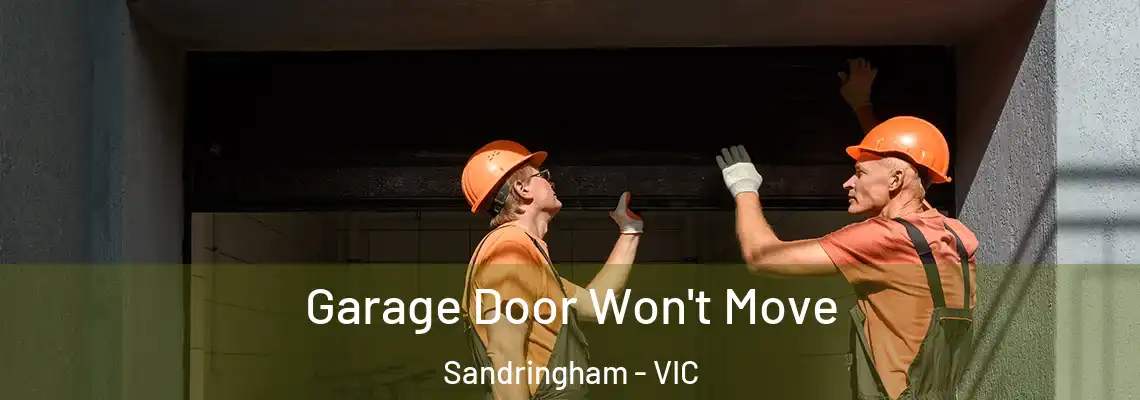 Garage Door Won't Move Sandringham - VIC