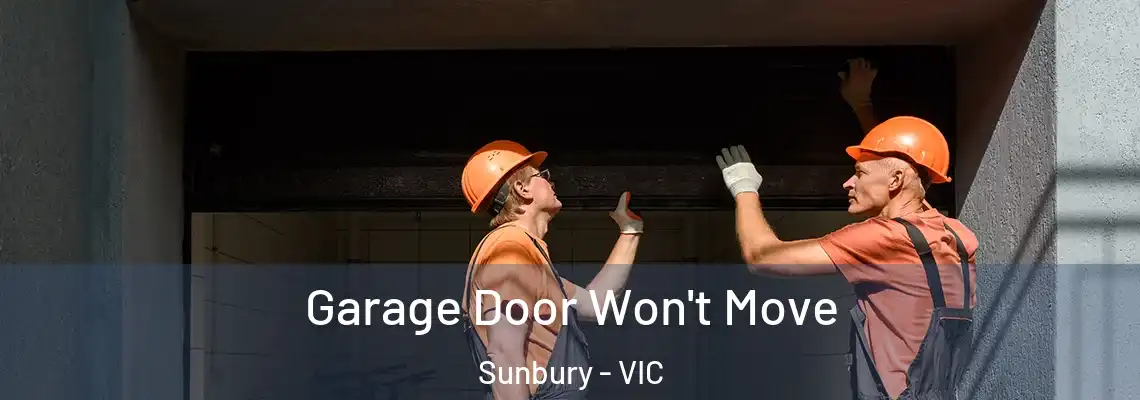 Garage Door Won't Move Sunbury - VIC