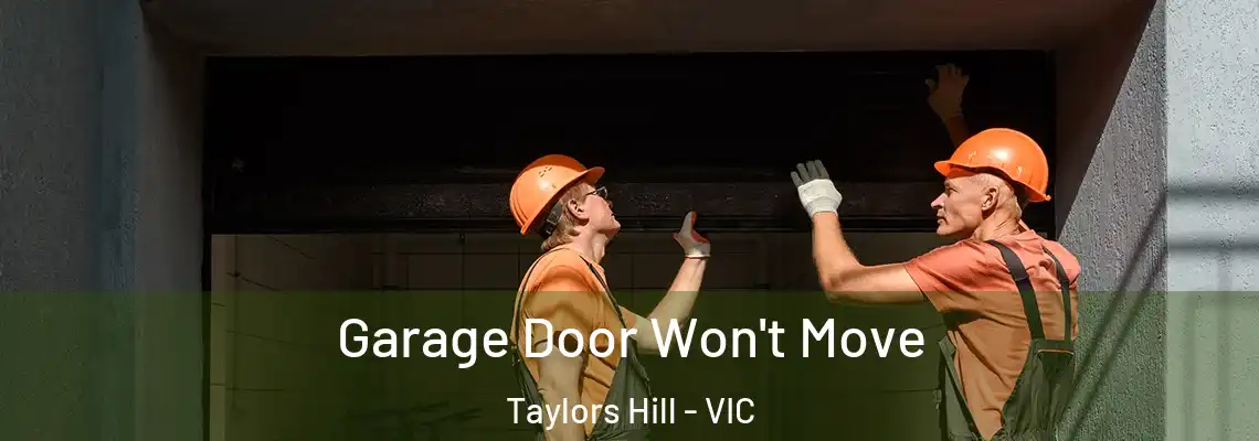Garage Door Won't Move Taylors Hill - VIC