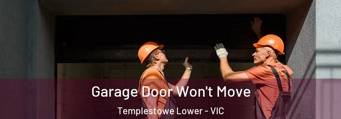  Garage Door Won't Move Templestowe Lower - VIC