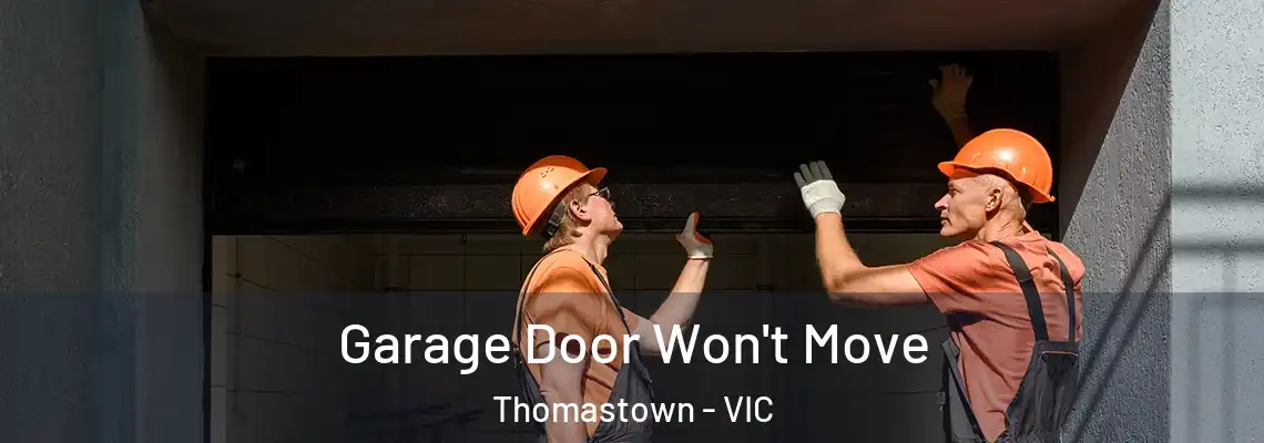  Garage Door Won't Move Thomastown - VIC