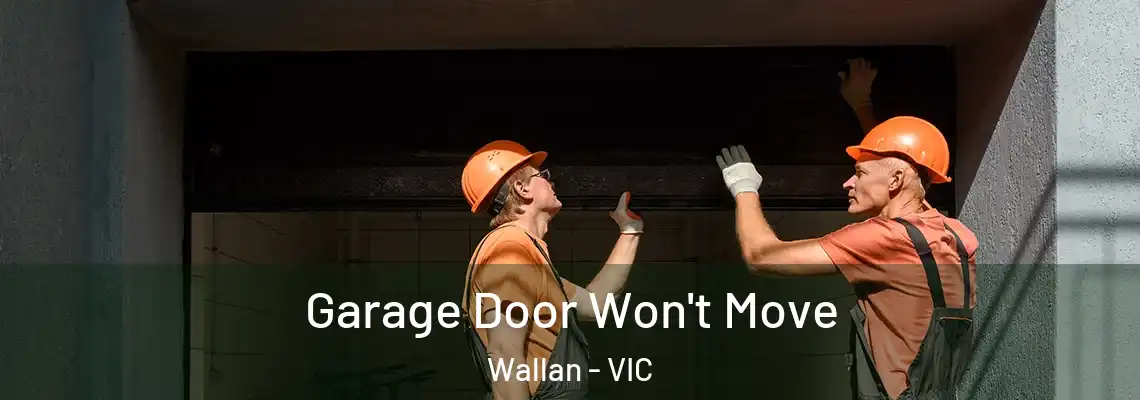  Garage Door Won't Move Wallan - VIC