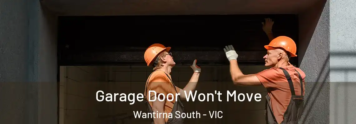  Garage Door Won't Move Wantirna South - VIC