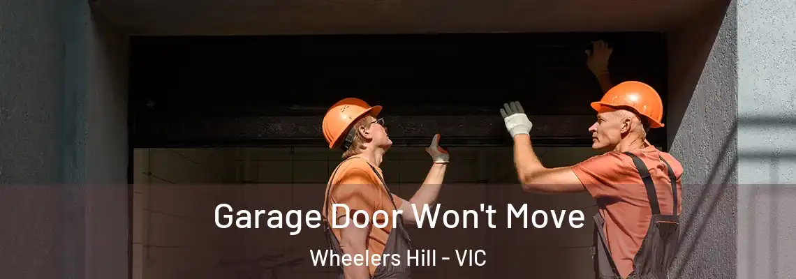 Garage Door Won't Move Wheelers Hill - VIC