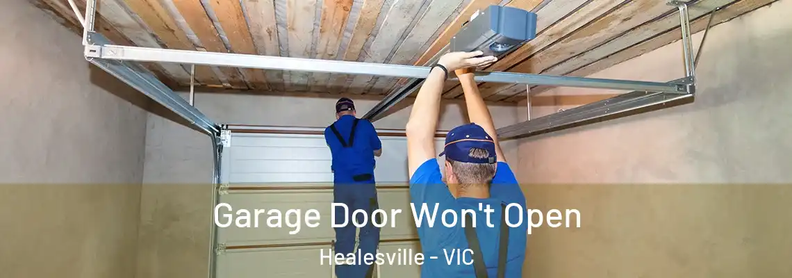 Garage Door Won't Open Healesville - VIC