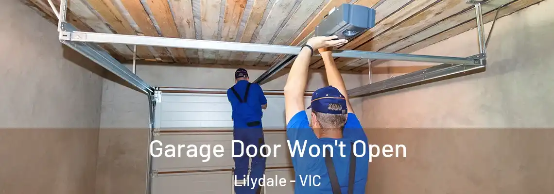  Garage Door Won't Open Lilydale - VIC