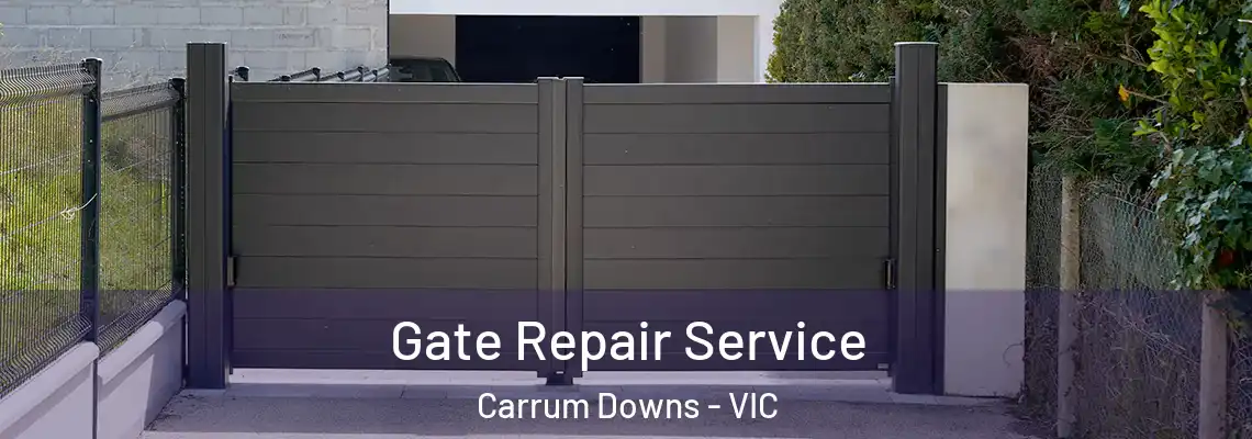 Gate Repair Service Carrum Downs - VIC