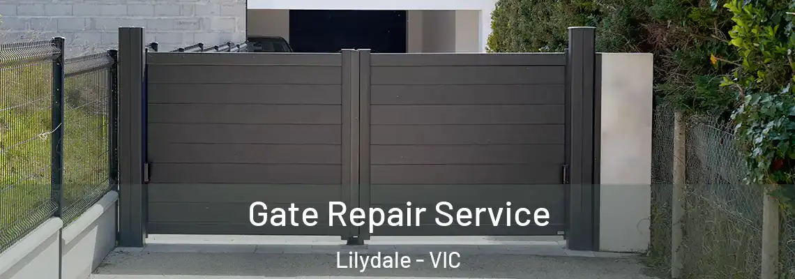 Gate Repair Service Lilydale - VIC