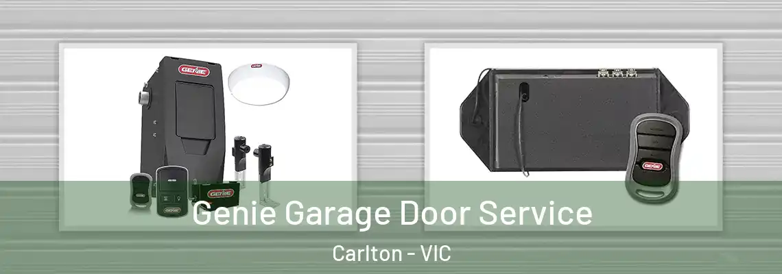 Genie Garage Door Service Carlton - VIC