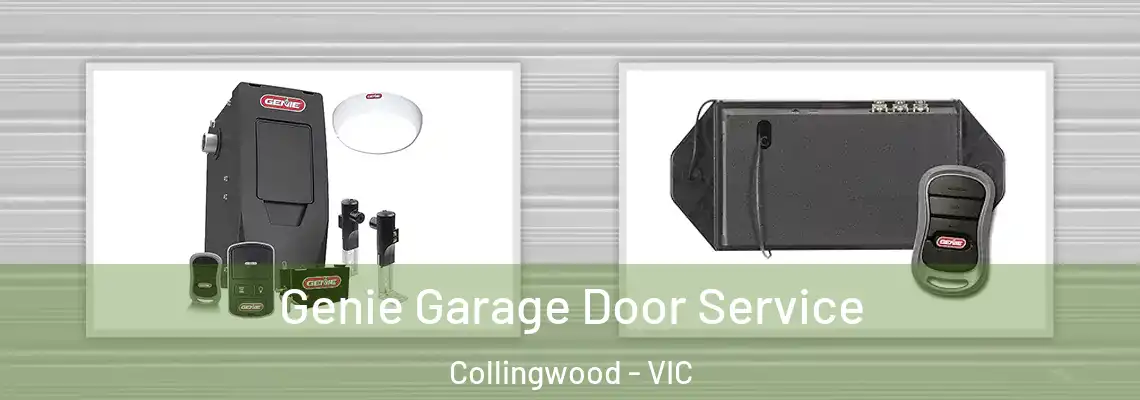 Genie Garage Door Service Collingwood - VIC