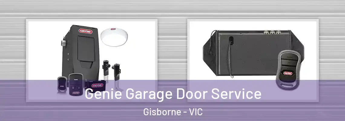 Genie Garage Door Service Gisborne - VIC