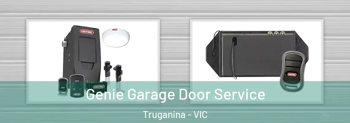 Genie Garage Door Service Truganina - VIC