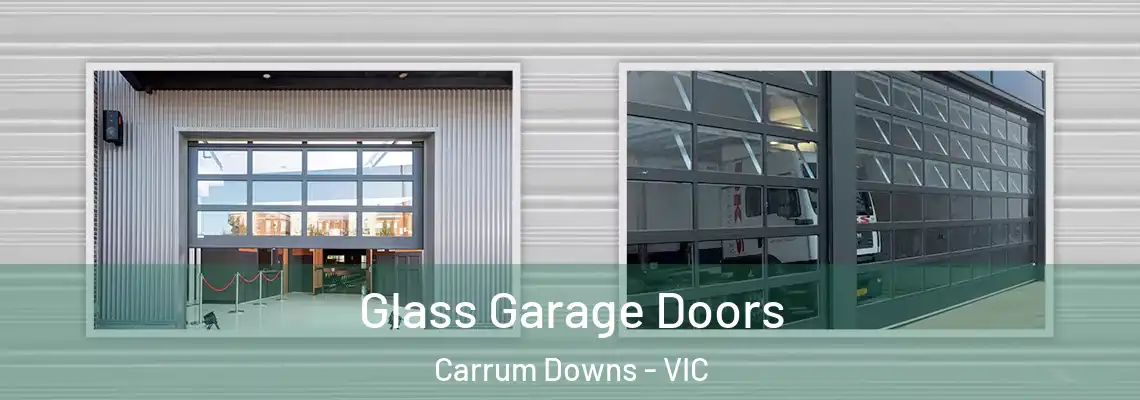 Glass Garage Doors Carrum Downs - VIC
