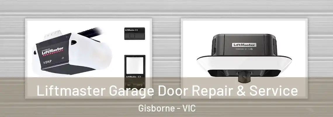 Liftmaster Garage Door Repair & Service Gisborne - VIC
