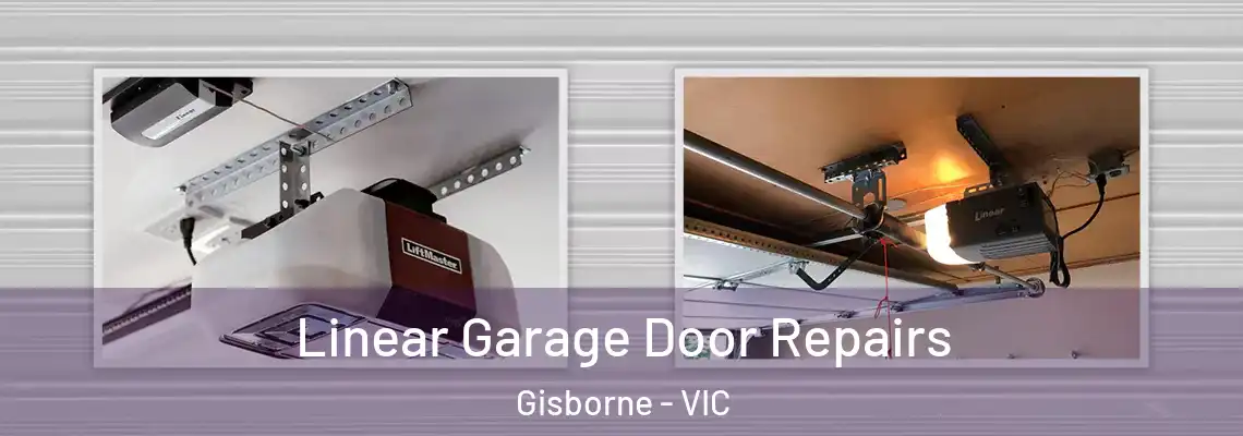 Linear Garage Door Repairs Gisborne - VIC