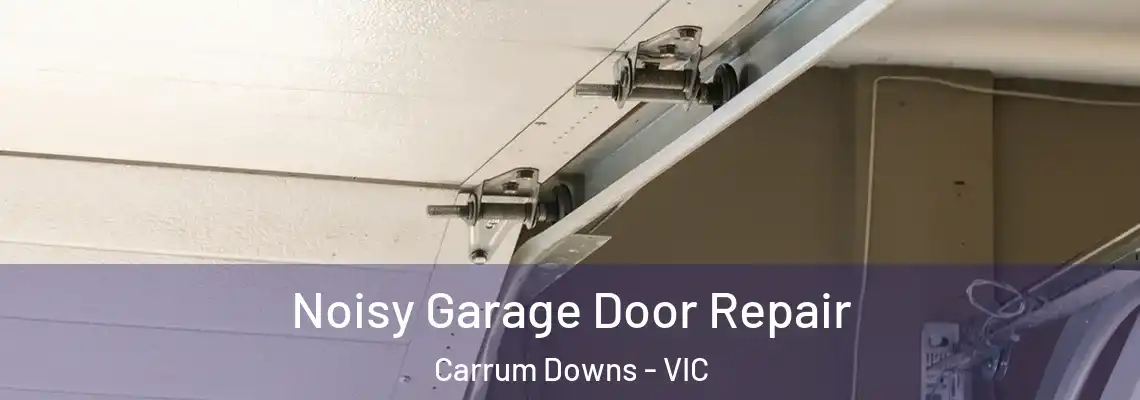 Noisy Garage Door Repair Carrum Downs - VIC