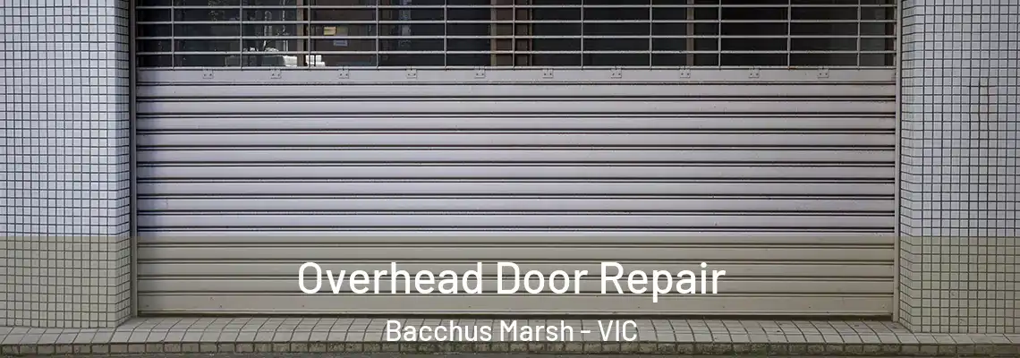 Overhead Door Repair Bacchus Marsh - VIC
