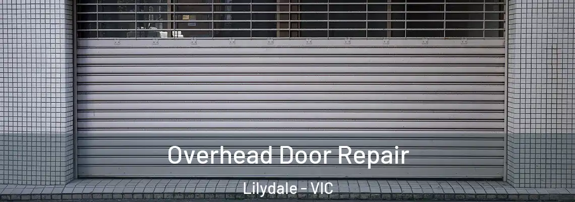 Overhead Door Repair Lilydale - VIC