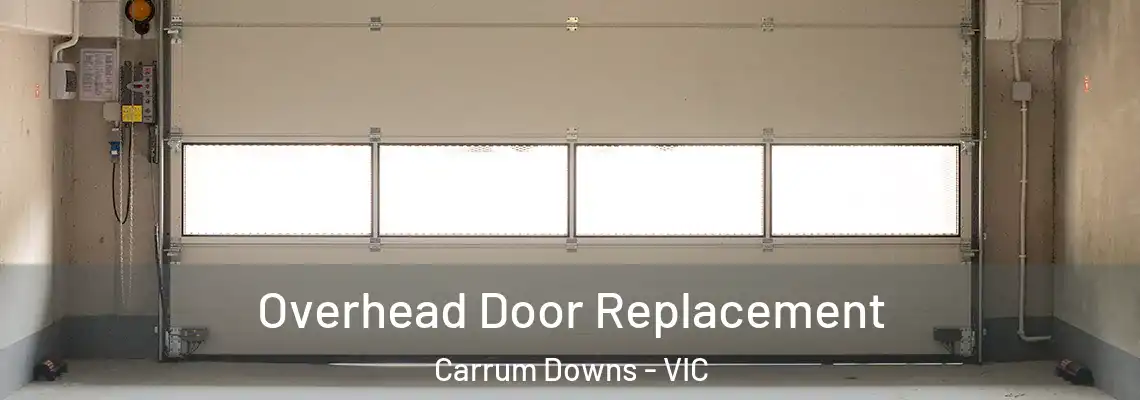  Overhead Door Replacement Carrum Downs - VIC