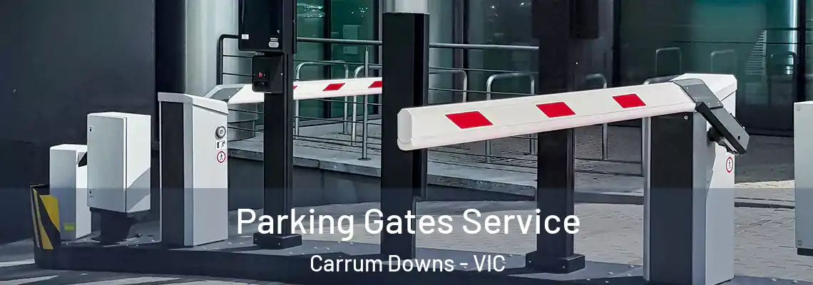  Parking Gates Service Carrum Downs - VIC