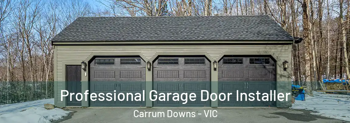 Professional Garage Door Installer Carrum Downs - VIC