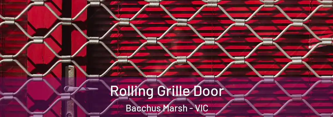 Rolling Grille Door Bacchus Marsh - VIC