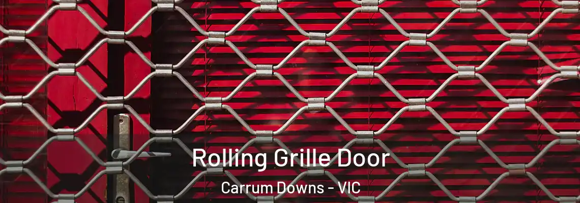  Rolling Grille Door Carrum Downs - VIC