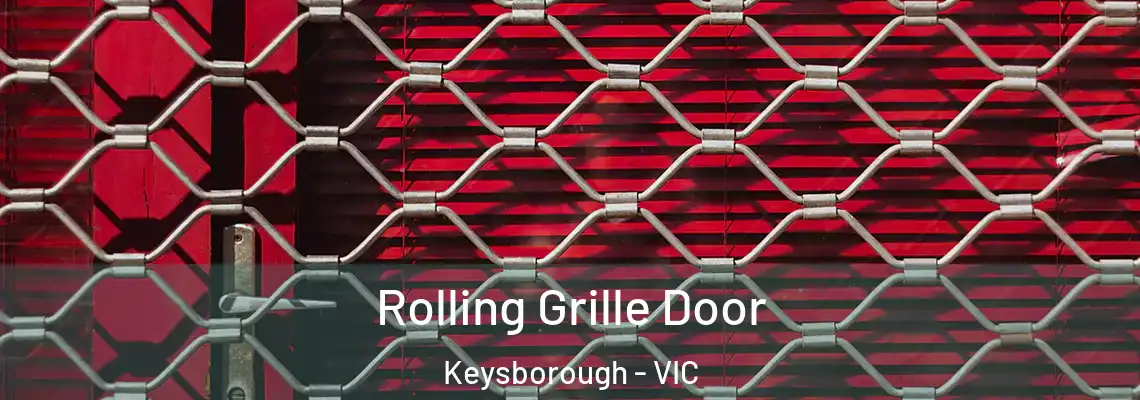  Rolling Grille Door Keysborough - VIC