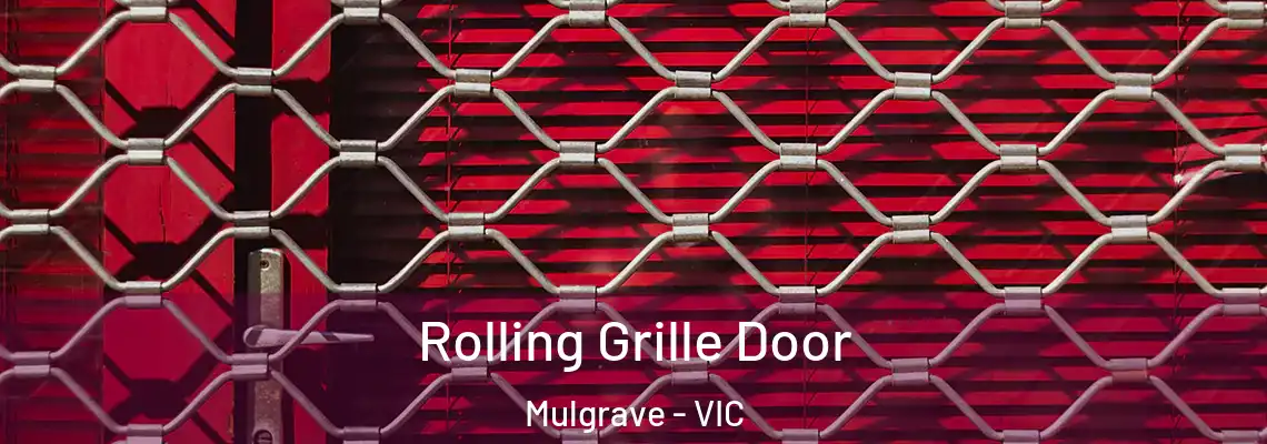  Rolling Grille Door Mulgrave - VIC