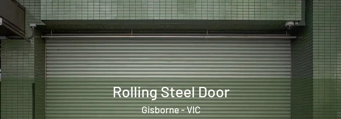 Rolling Steel Door Gisborne - VIC